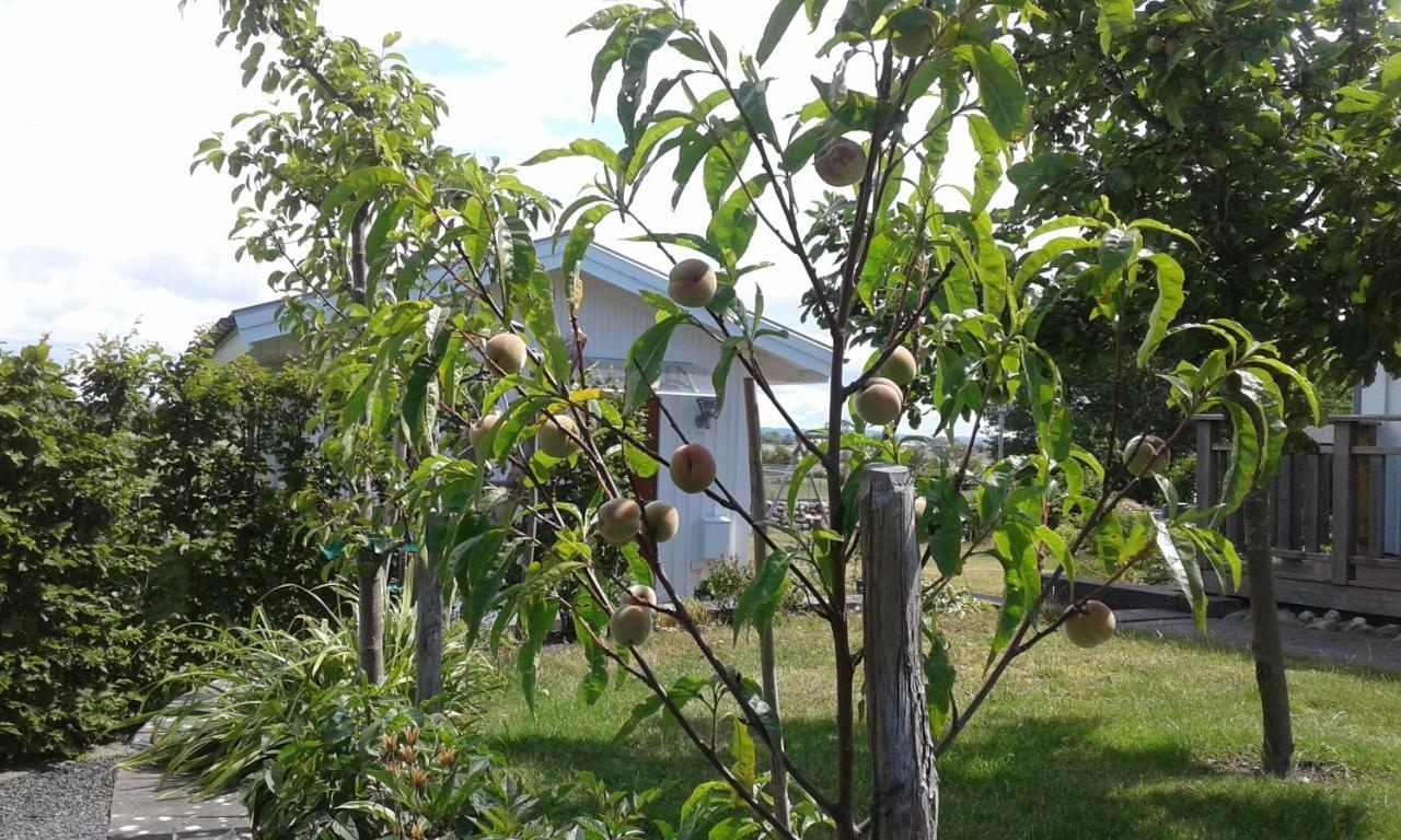 Stuga I Gamla-Koepstad Traslovslage Екстериор снимка